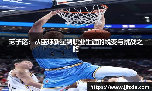 db电竞官网入口